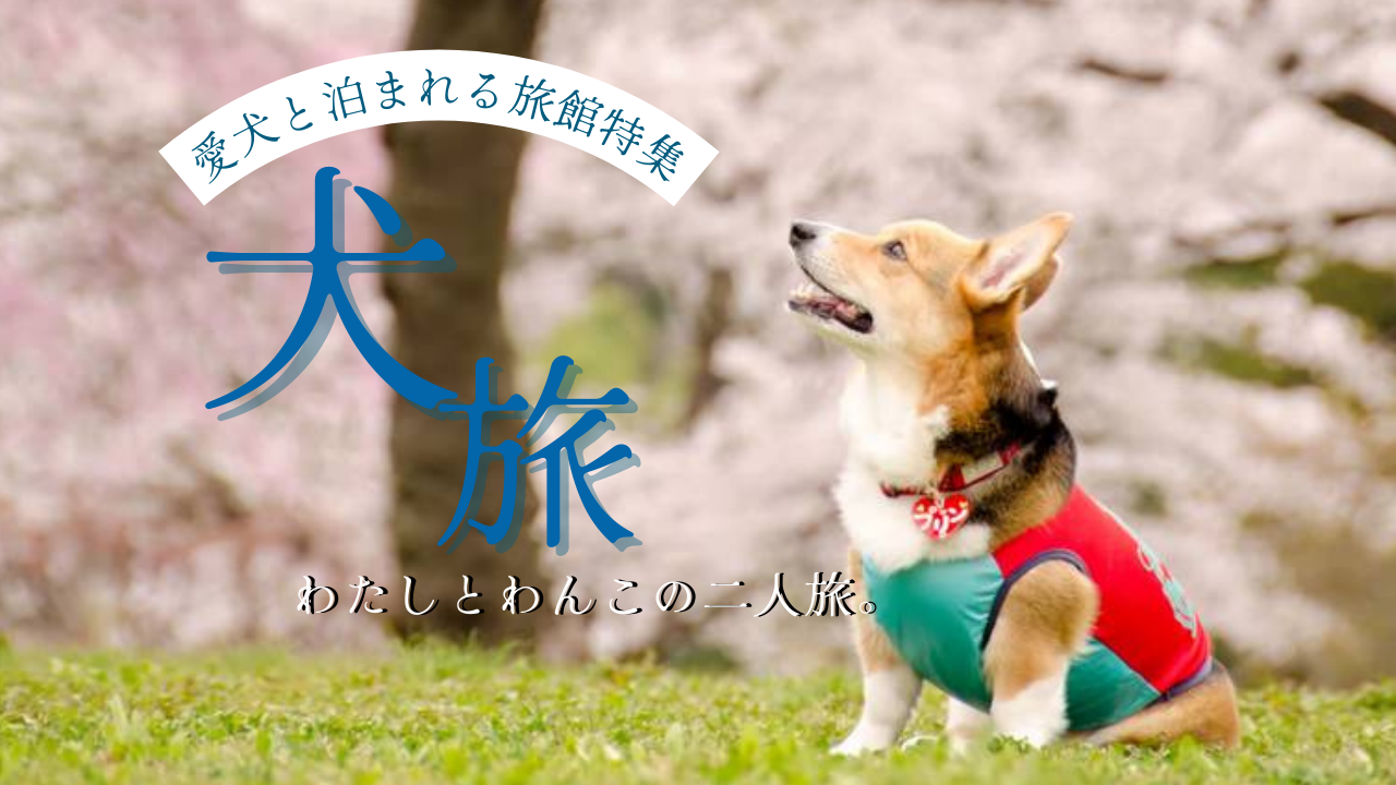 犬旅バナー