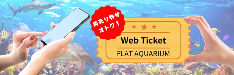 年パスのバナー画像